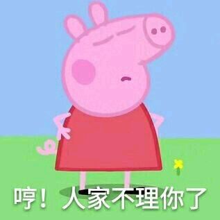 小猪佩奇表情包精选,表情包小猪佩奇可爱动图