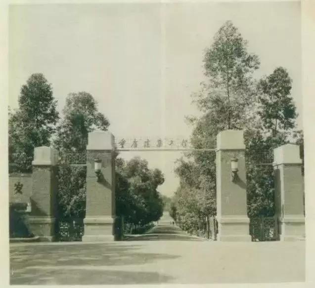 让我们一起为中国原创打call,让我们一起为中国综艺打call