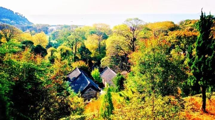 青岛最美11号线风景,青岛最美地铁和最浪漫的地铁