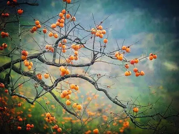 青岛最美11号线风景,青岛最美地铁和最浪漫的地铁