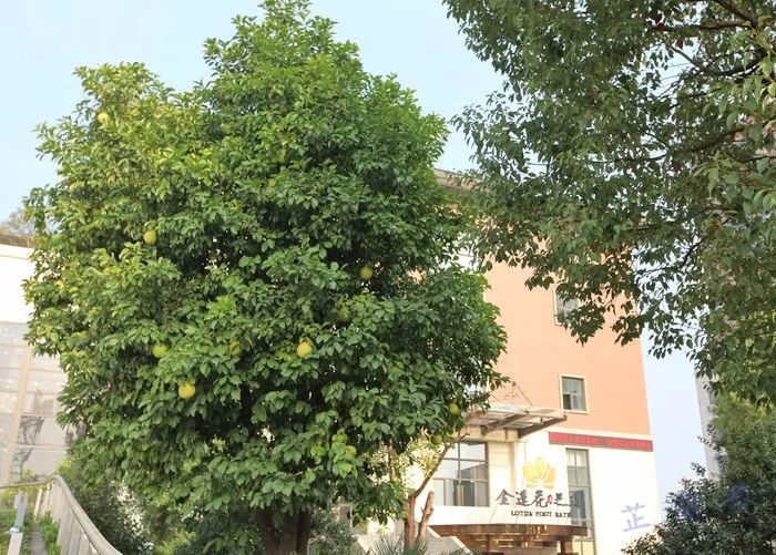 第十五届全国民间读书年会韦力撰