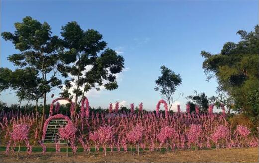 双十一｜光棍节，惠州紫溪半岛*光脱**攻略