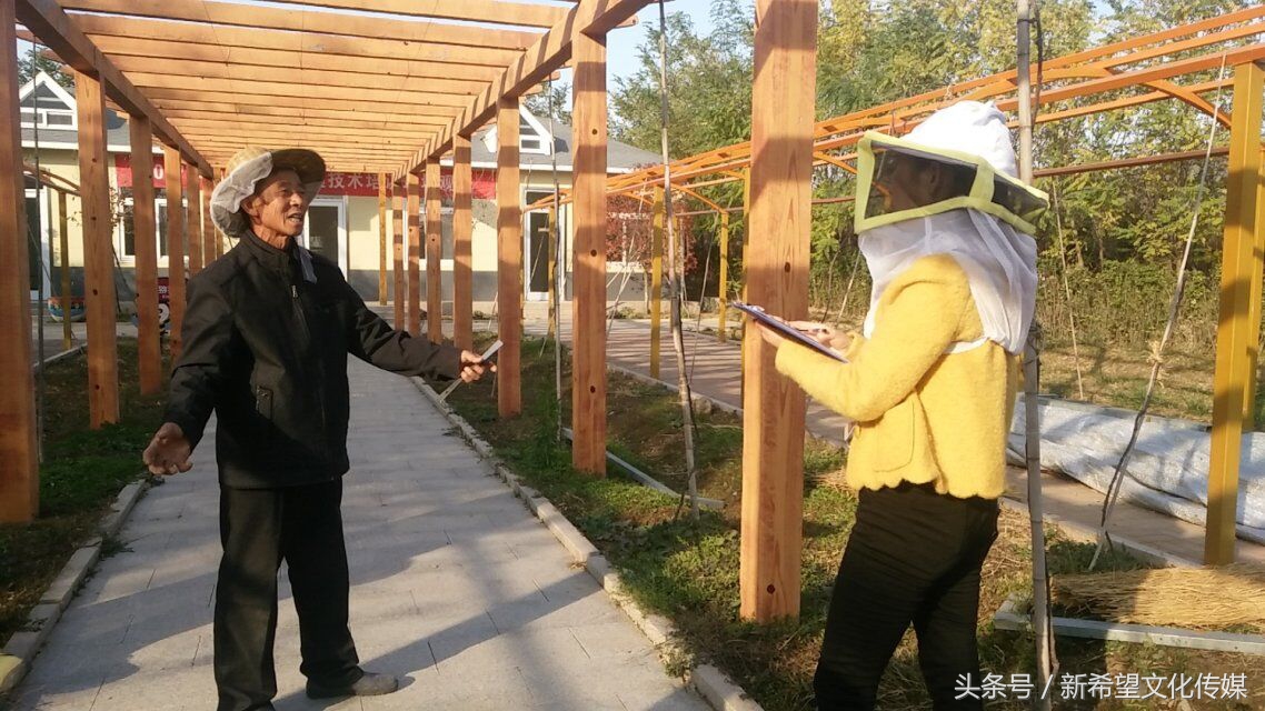 嗡嗡乐园蜂产品,嗡嗡乐园蜂蜜