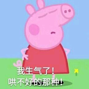 小猪佩奇表情包精选,表情包小猪佩奇可爱动图