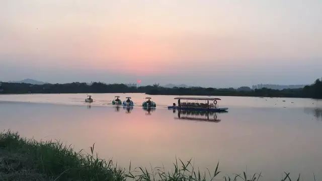 双十一｜光棍节，惠州紫溪半岛*光脱**攻略