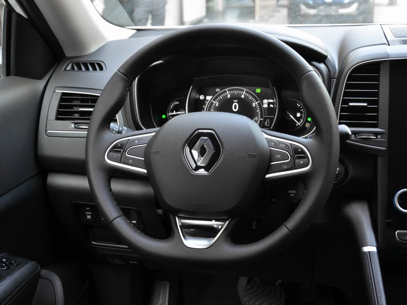 法国混血儿爸爸中国人,雷诺科雷傲正脸