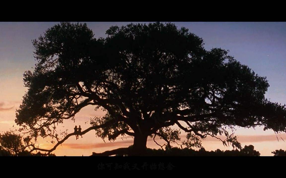 apromiseisapromise怎么解读,apromiseisapromise的意思