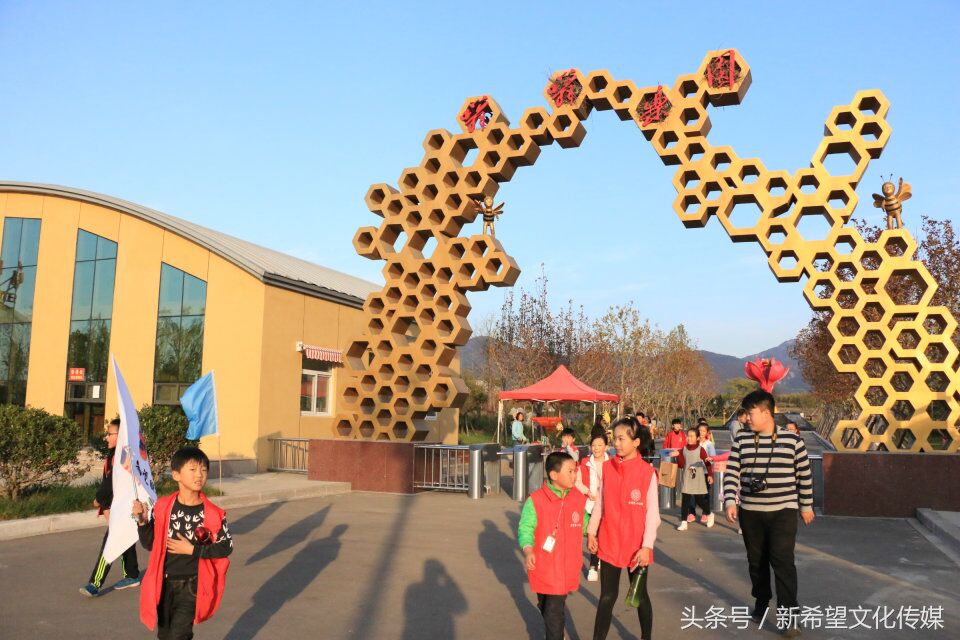 嗡嗡乐园蜂产品,嗡嗡乐园蜂蜜