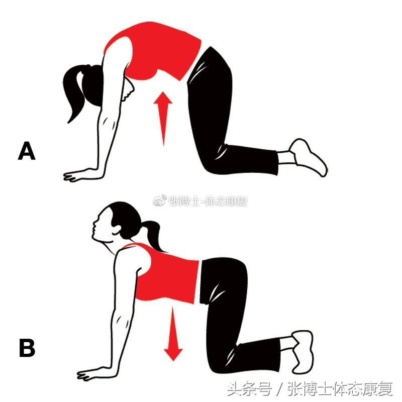 产后耻骨联合分离康复训练,耻骨肌运动康复方案