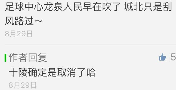 成都市国际足球中心在什么地方,成都国际足球中心