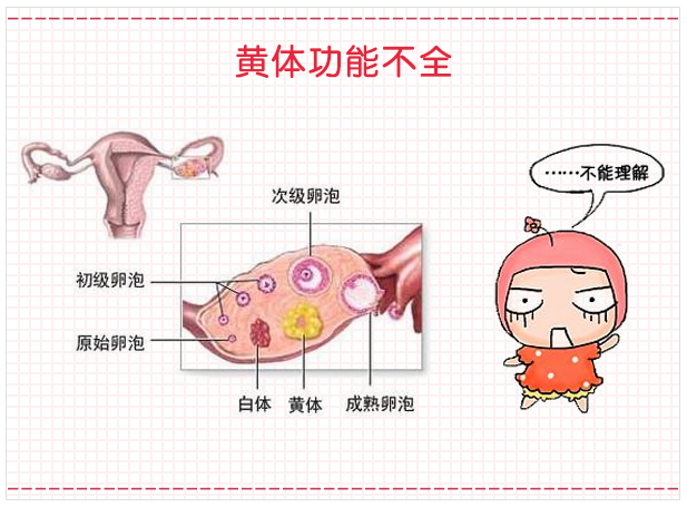 男性内分泌失调对生育的影响,防止内分泌失调平时要关注什么