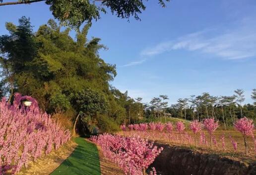 双十一｜光棍节，惠州紫溪半岛*光脱**攻略