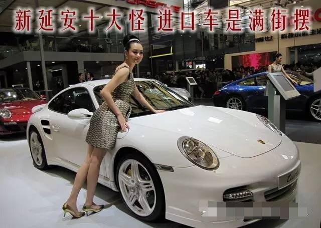 陕西八大怪发展历程,延安十大案件