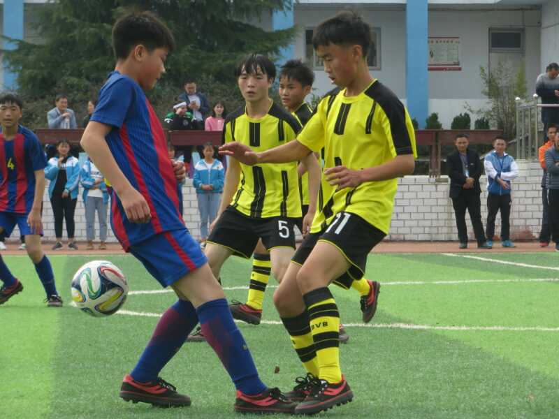 葡萄牙足球教练,葡萄牙教练桑托斯助力