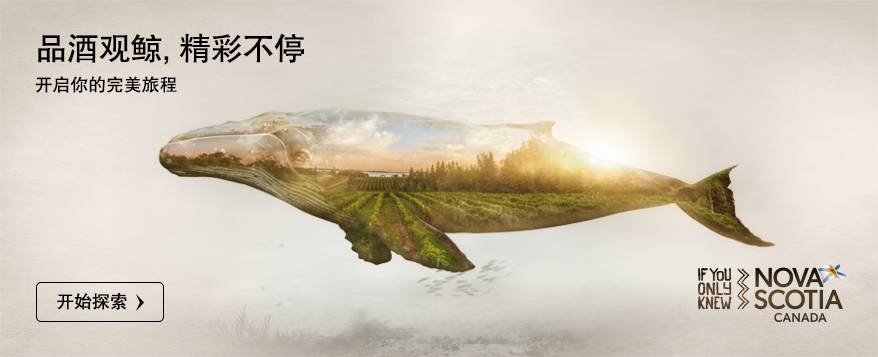 双十一规则太复杂？多伦多教你一个解决方案……