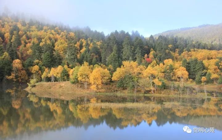 神奇的大姐竟然能感知别人的身体病痛？