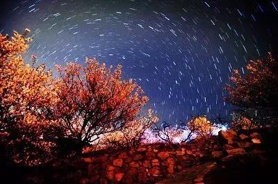 青岛最美11号线风景,青岛最美地铁和最浪漫的地铁