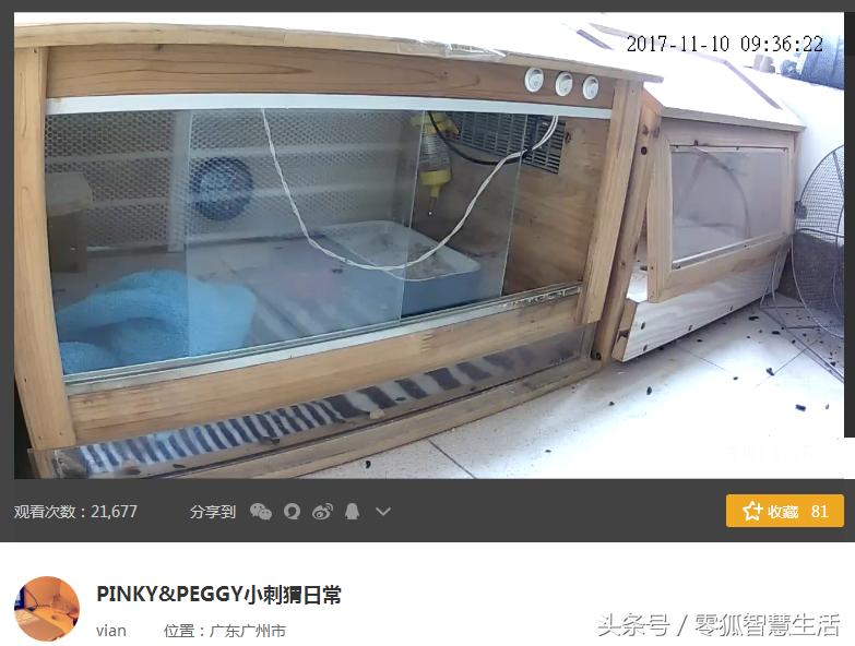 炒作、搏出位、想红？直播室内监控画面为哪般