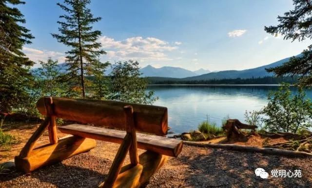 神奇的大姐竟然能感知别人的身体病痛？