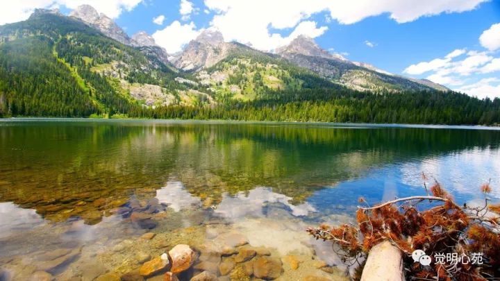 神奇的大姐竟然能感知别人的身体病痛？