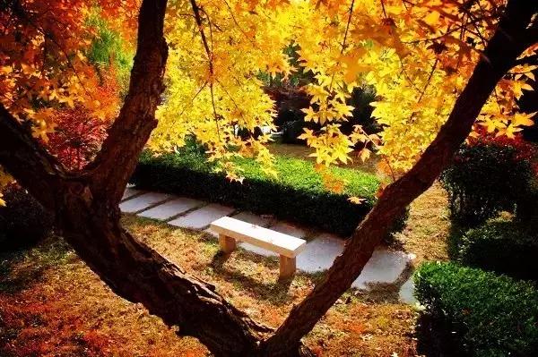 青岛最美11号线风景,青岛最美地铁和最浪漫的地铁