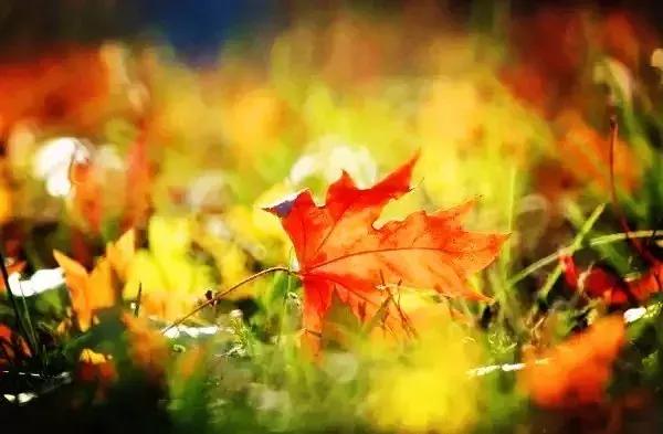 青岛最美11号线风景,青岛最美地铁和最浪漫的地铁