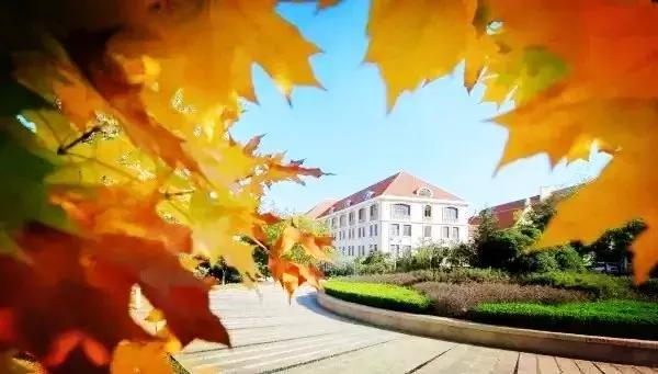 青岛最美11号线风景,青岛最美地铁和最浪漫的地铁