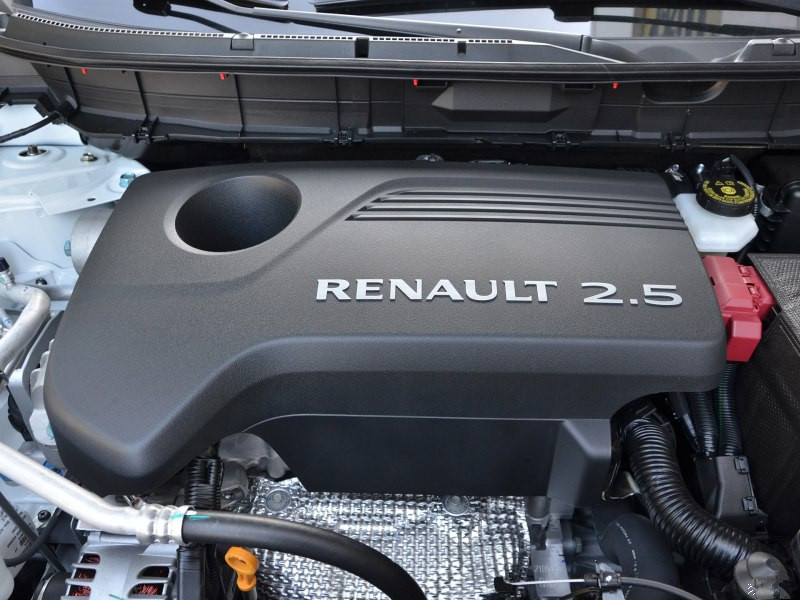 法国混血儿爸爸中国人,雷诺科雷傲正脸