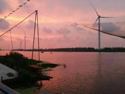 春天适合去哪踏青盐城,盐城春暖花开一日游攻略