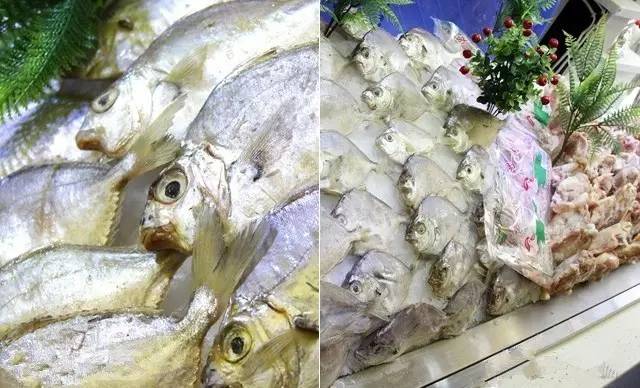 西安市最有性价比的自助餐有哪些,西安自助餐100元以内排名