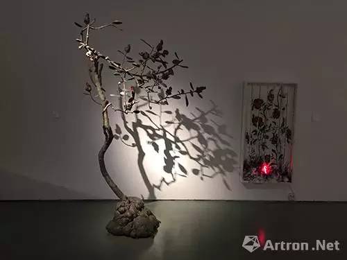 雅昌画廊影响力排行榜,雅昌展会