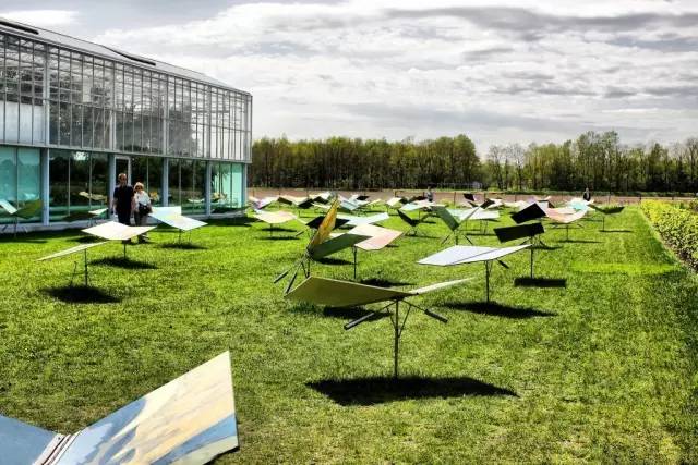 大型的景观草坪,好看的天然草坪