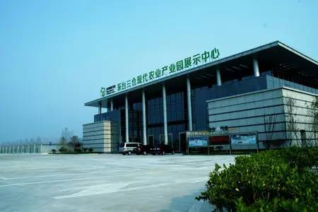 春天适合去哪踏青盐城,盐城春暖花开一日游攻略