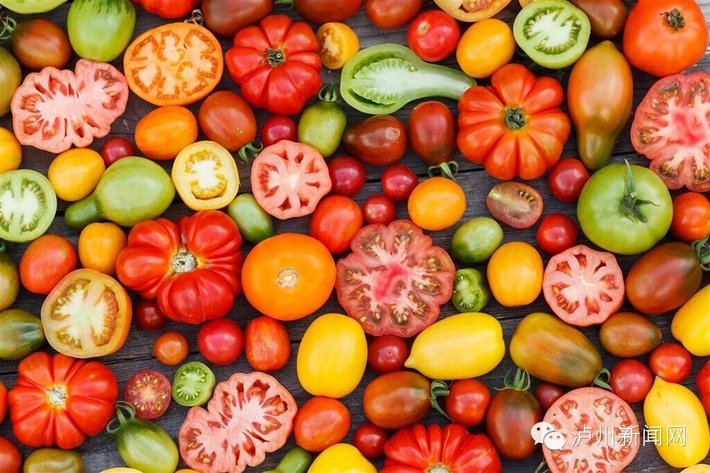 小松鼠吃什么最有营养,小松鼠吃什么怎么养