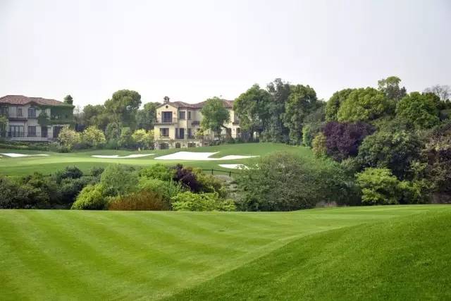 大型的景观草坪,好看的天然草坪