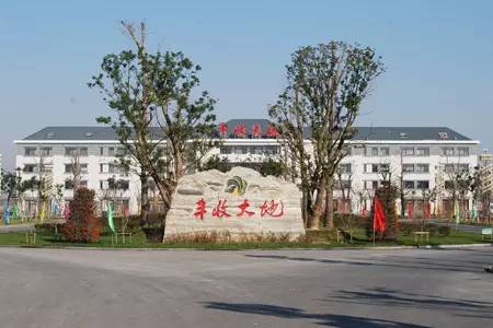 春天适合去哪踏青盐城,盐城春暖花开一日游攻略