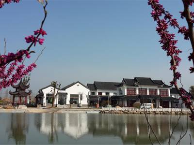 春天适合去哪踏青盐城,盐城春暖花开一日游攻略