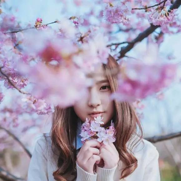 樱花盛开季节旅游攻略,樱花拍摄最全攻略