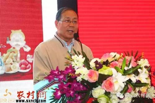 乐村淘互联网超市,乐村淘网络科技