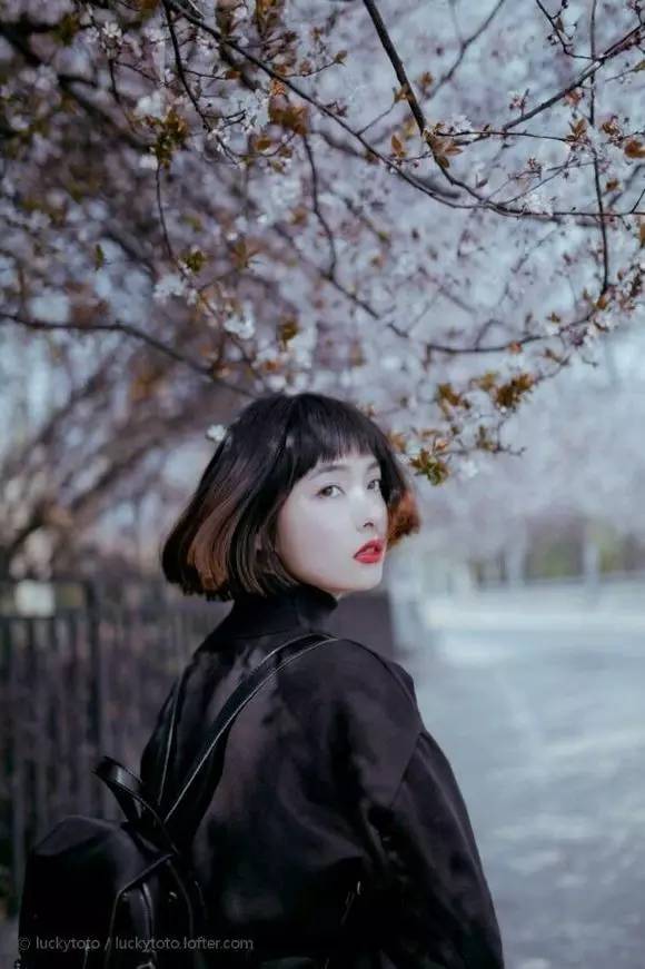 樱花盛开季节旅游攻略,樱花拍摄最全攻略