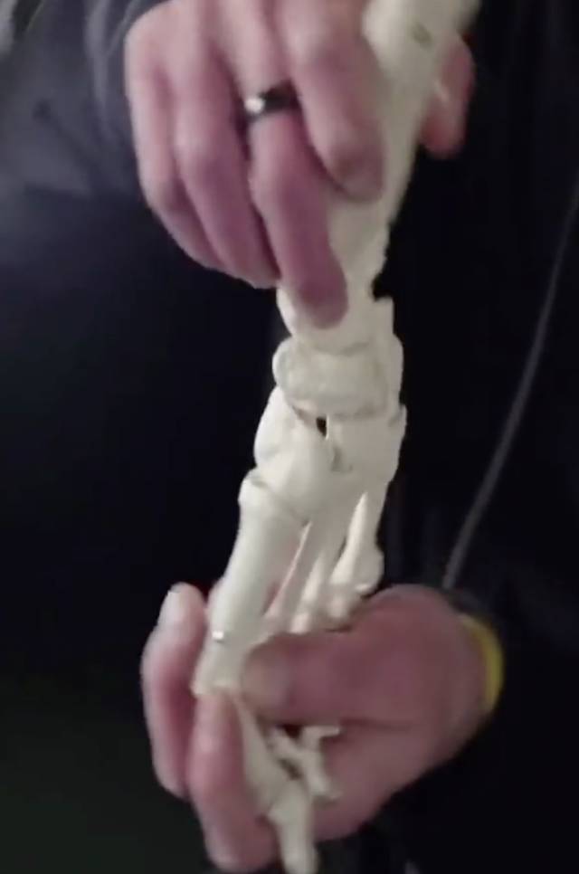 「Phatkix专栏」鞋舒不舒服？脚说了算|NikeFree专栏·下篇