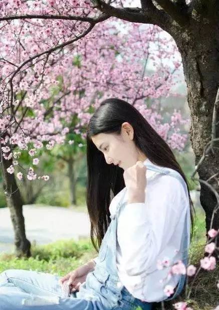 樱花盛开季节旅游攻略,樱花拍摄最全攻略