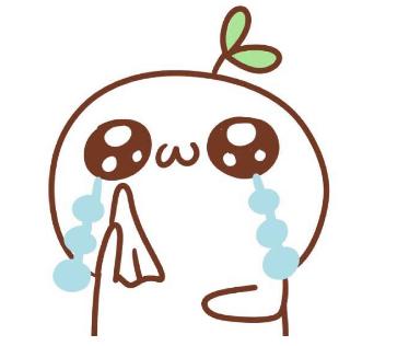 萨内蒂苏宁,萨内蒂捧起冠军杯