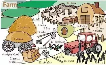 最常用英语100个单词,史上最全英语词汇图