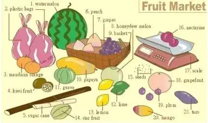 最常用英语100个单词,史上最全英语词汇图