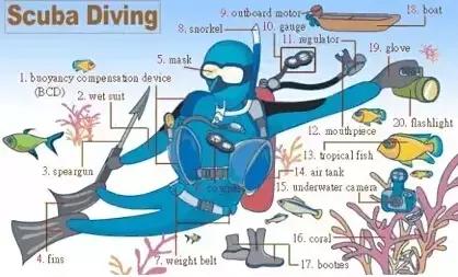 最常用英语100个单词,史上最全英语词汇图