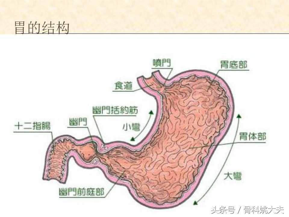 胃痛难忍用什么药,胃痛痛得厉害该怎么处理
