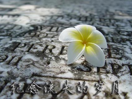 拥抱岁月歌曲,拥抱岁月