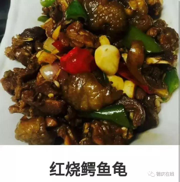 德庆鳄鱼龟,30万在深山养鳄鱼龟