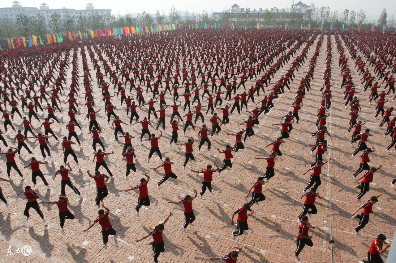 严手母子拳实战套路图解,母子拳擒拿术视频